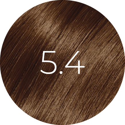 Coloration BBHair PLEX 100ml — Avec Ammoniaque (67 Nuances Couvrance Maximale)