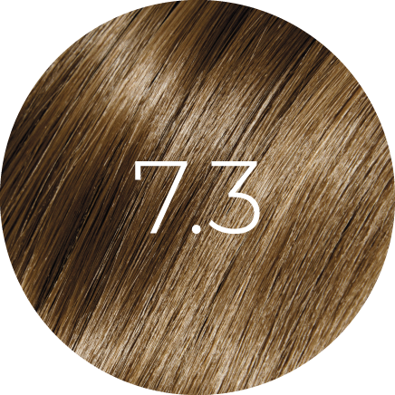 Coloration BBHair PLEX 100ml — Avec Ammoniaque (67 Nuances Couvrance Maximale)